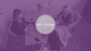 La plateforme collaborative du SIB pour les collèges